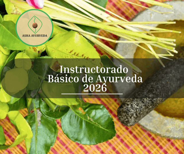 Instructorado Básico de Ayurveda 2026