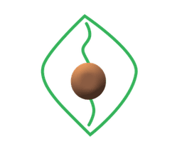 Asha Ayurveda